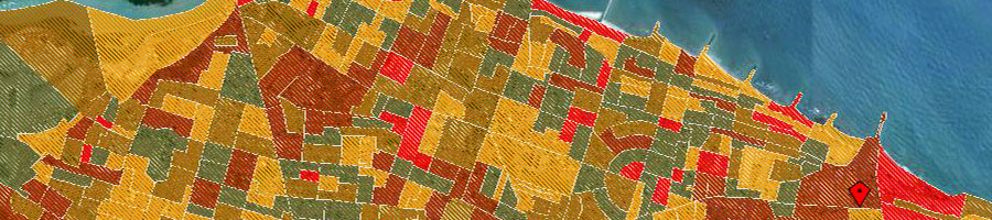 Cognatis Consultoria Data Services Cognatis Consultoria Data Services